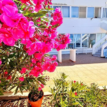 Lazaro House * Faro